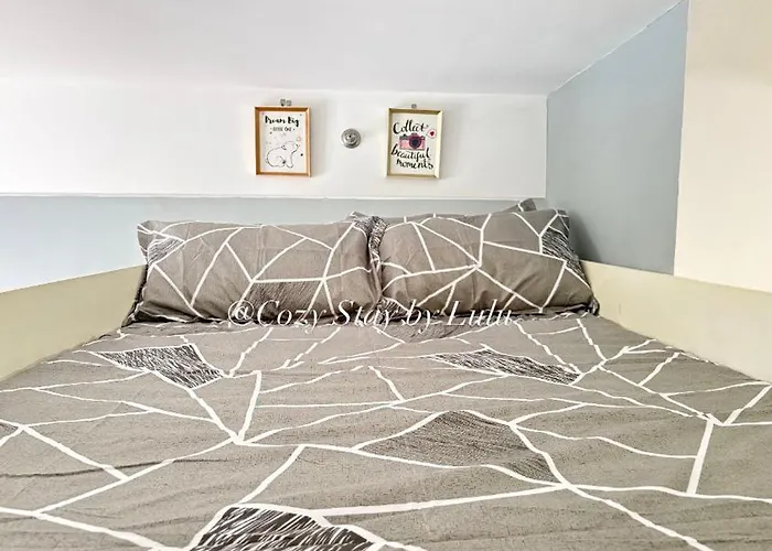 Cozy By Lulu *